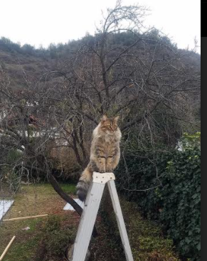 《2025英雄联盟全球总决赛,T1一战封神夺冠》,2030年英雄联盟全球总决赛