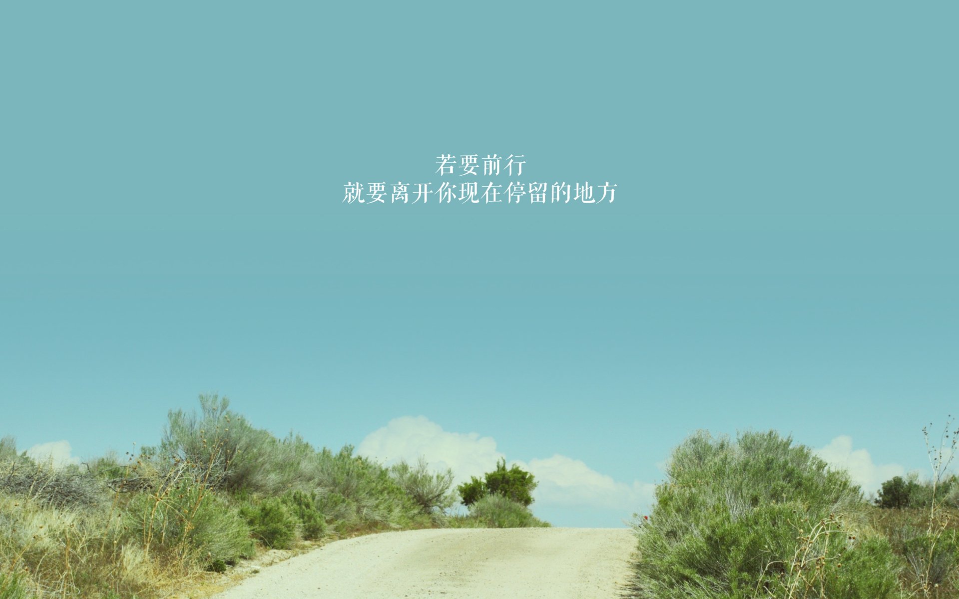“球员奇趣爱好:篮球明星的趣味生活大公开”,关于篮球明星的介绍